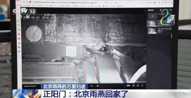 想知道北京雨燕的“安家指南”和“育儿宝典”吗?速来围观 想知道北京雨燕的“安家指南”和“育儿宝典”吗?速来围观