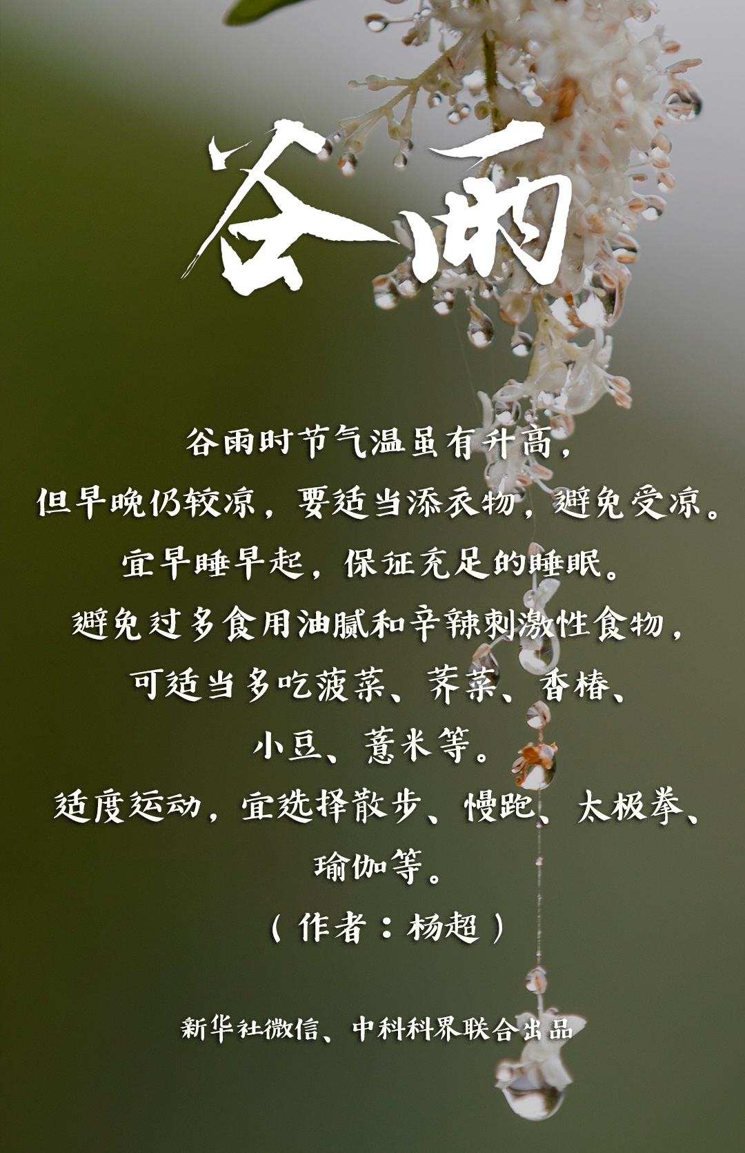 今日谷雨，祝你幸福绵长！
