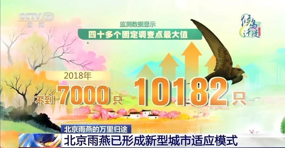 想知道北京雨燕的“安家指南”和“育儿宝典”吗?速来围观 想知道北京雨燕的“安家指南”和“育儿宝典”吗?速来围观