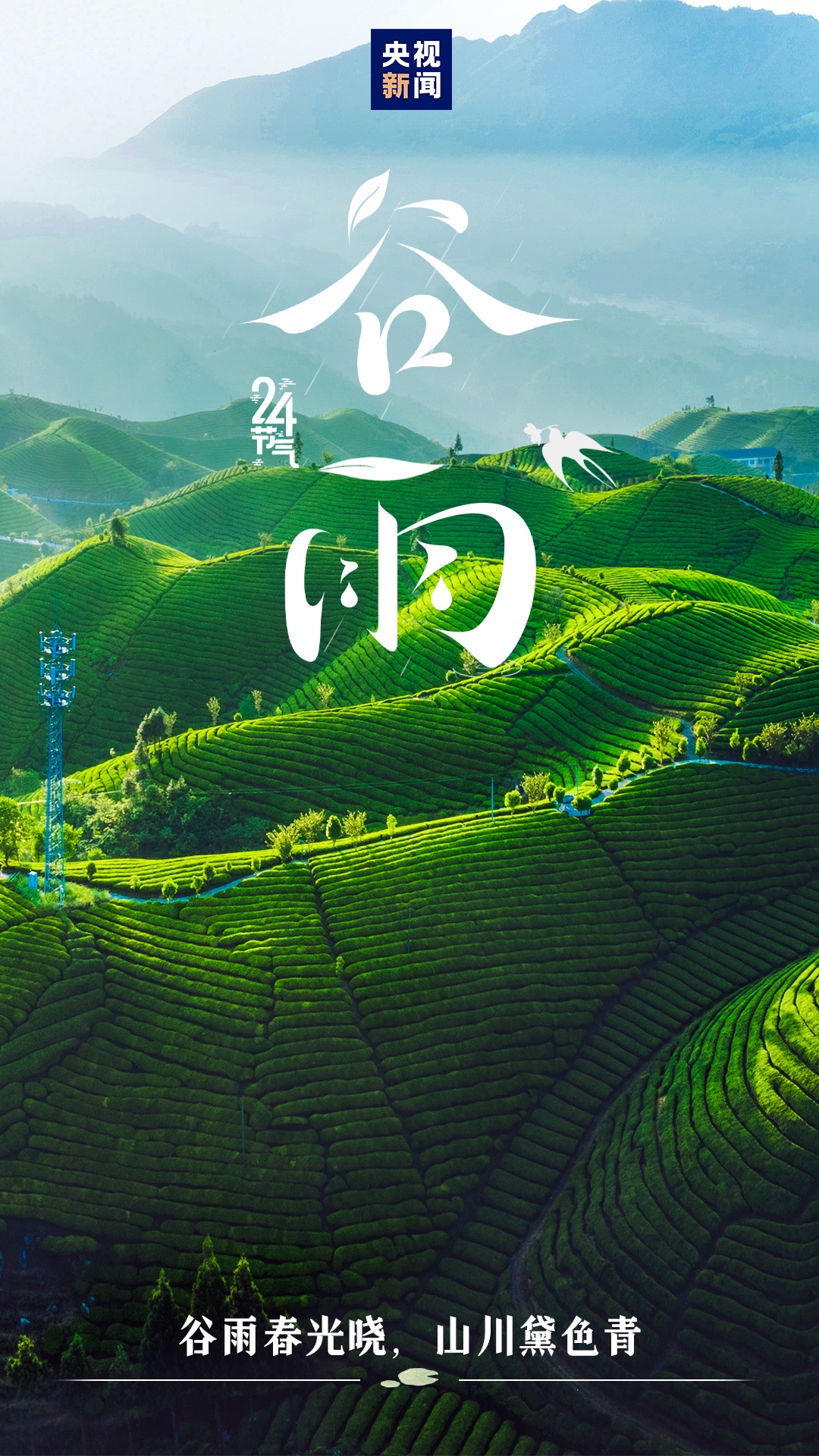今迎谷雨 雨生百谷夏将至