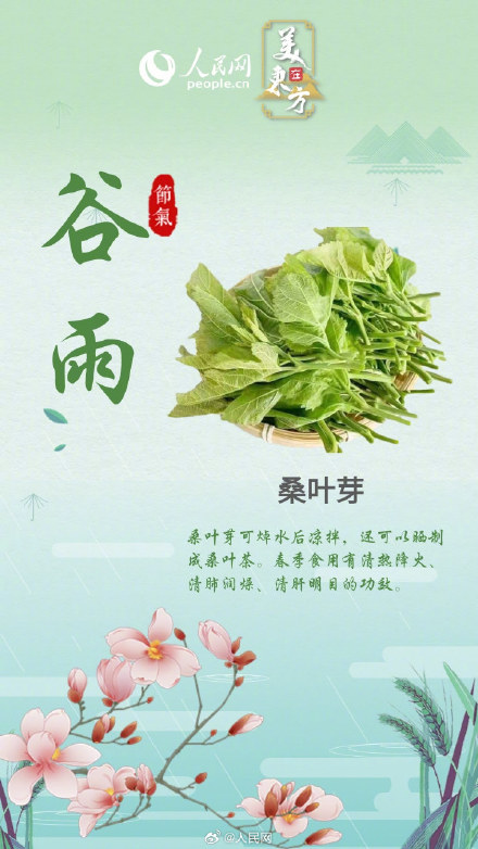百菜争“鲜” !谷雨时节来吃春菜吧 百菜争“鲜” !谷雨时节来吃春菜吧