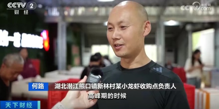 小龙虾抢“鲜”上市 价格将更加亲民