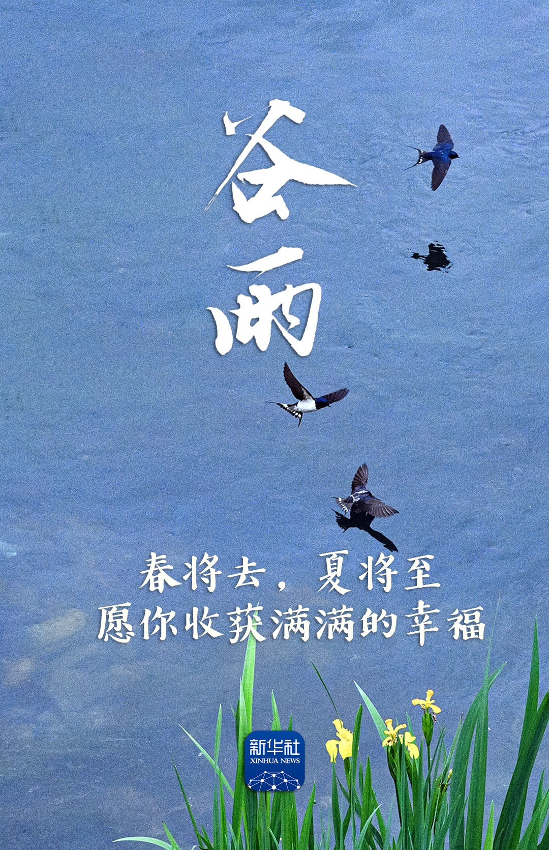 今日谷雨，祝你幸福绵长！