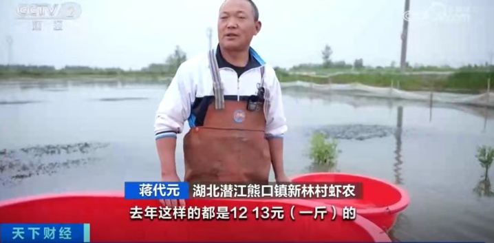 小龙虾抢“鲜”上市 价格将更加亲民