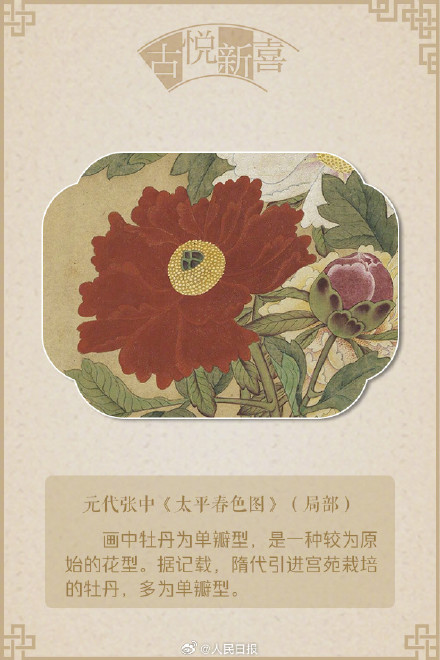 国色天香!文化中国行赏画中牡丹 国色天香!文化中国行赏画中牡丹