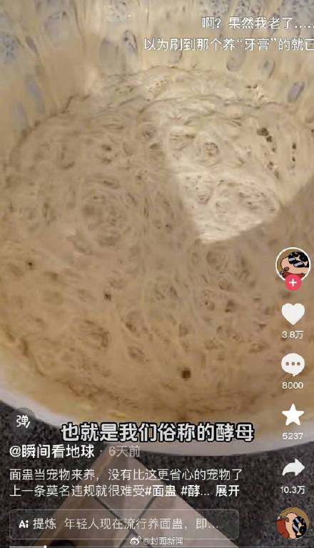 还是太超前了!年轻人开始养宠物酵母 还是太超前了!年轻人开始养宠物酵母