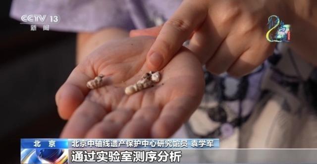 想知道北京雨燕的“安家指南”和“育儿宝典”吗?速来围观 想知道北京雨燕的“安家指南”和“育儿宝典”吗?速来围观