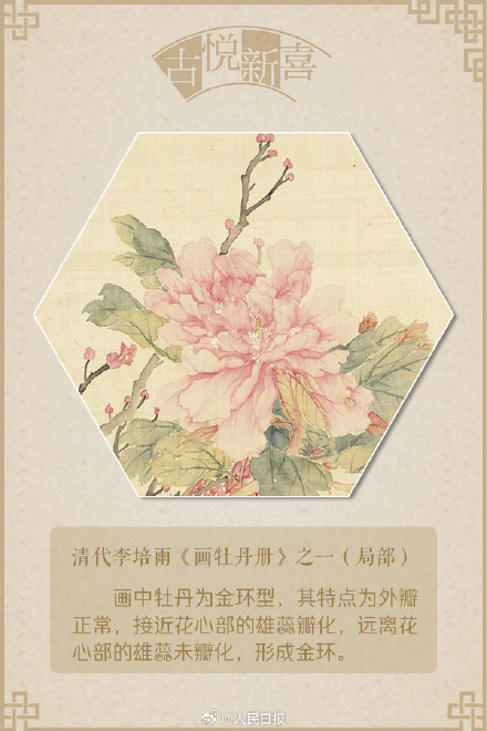 国色天香!文化中国行赏画中牡丹 国色天香!文化中国行赏画中牡丹