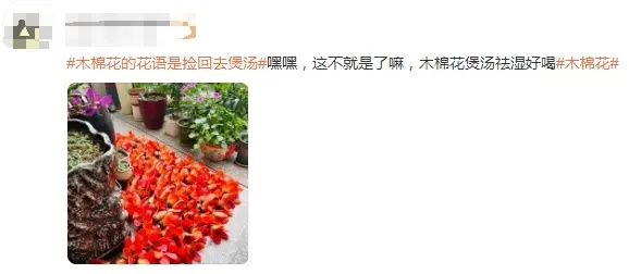 专家提醒：不要吃！不要捡！