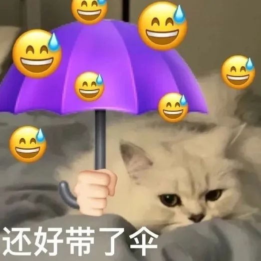 闷、湿、热！网友调侃：广东人可以拿去炒菜了！冷空气已在路上→