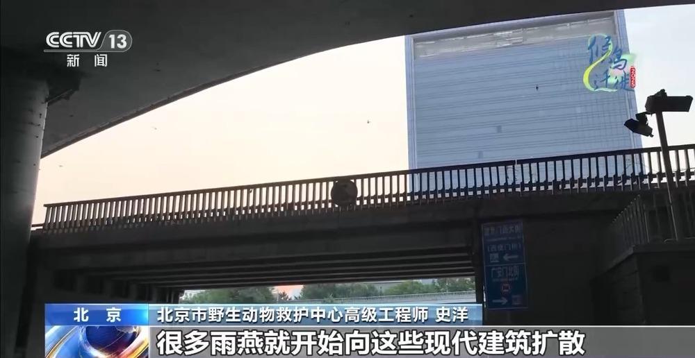 想知道北京雨燕的“安家指南”和“育儿宝典”吗?速来围观 想知道北京雨燕的“安家指南”和“育儿宝典”吗?速来围观