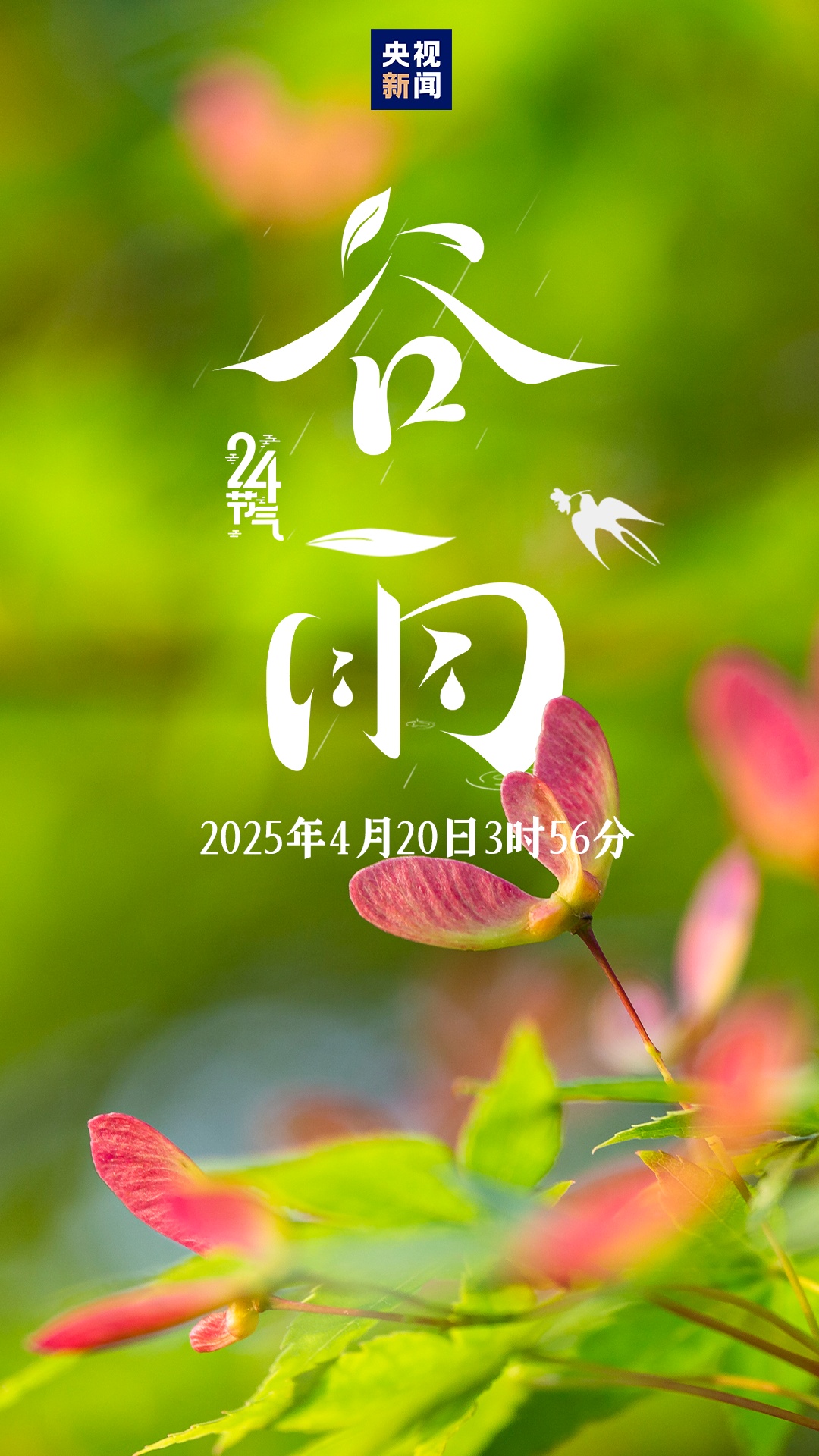 今迎谷雨 雨生百谷夏将至