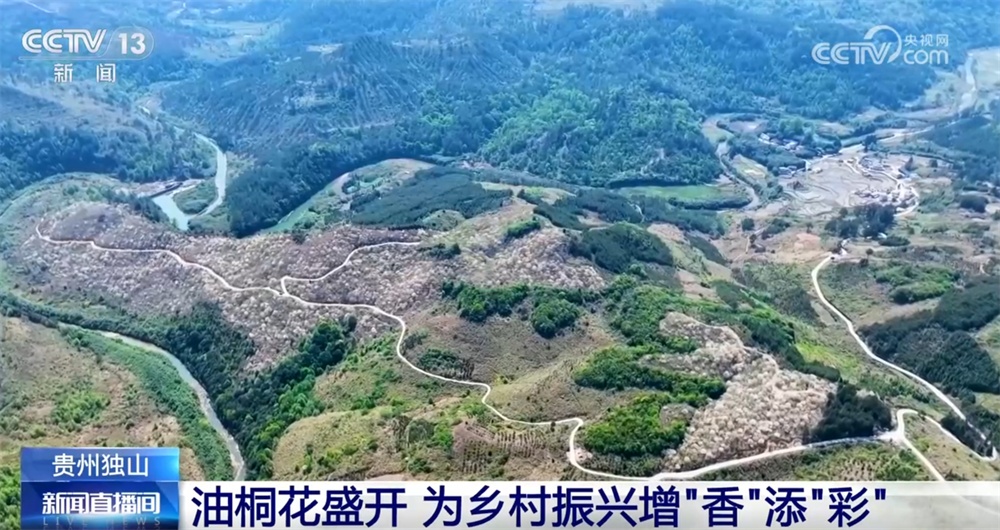 绿水青山间跃动着春日好“丰”景 特色产业为乡村振兴增“香”添“彩”