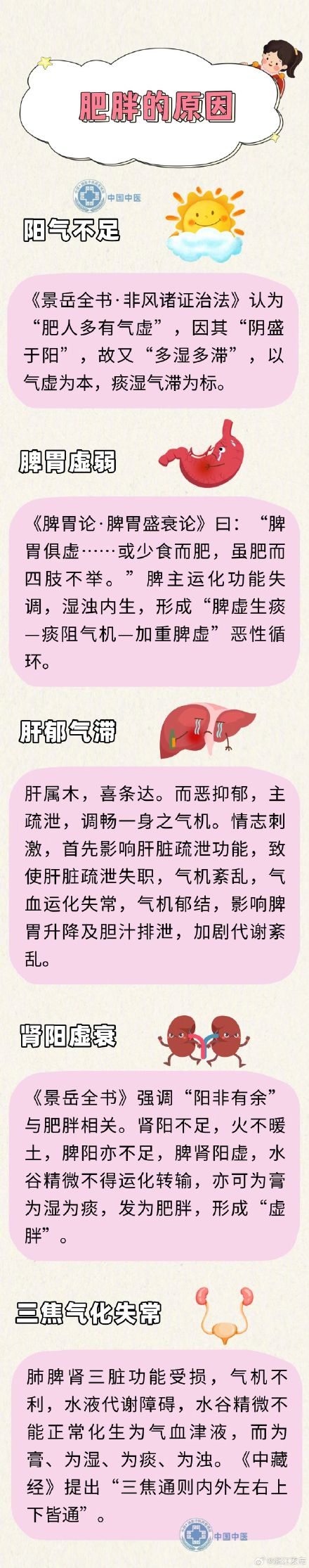 收藏这些养生药膳，助力健康体重管理