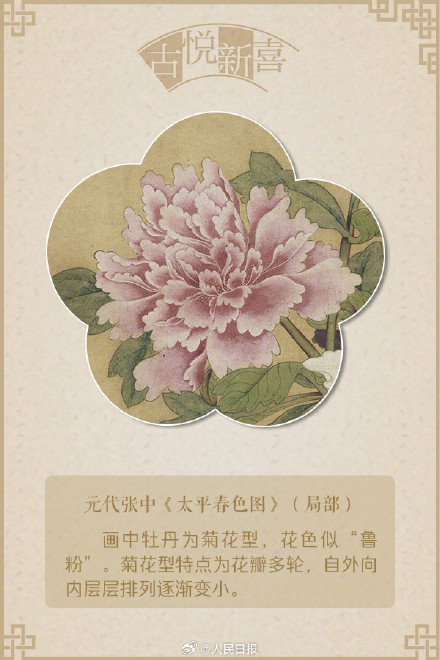 国色天香!文化中国行赏画中牡丹 国色天香!文化中国行赏画中牡丹