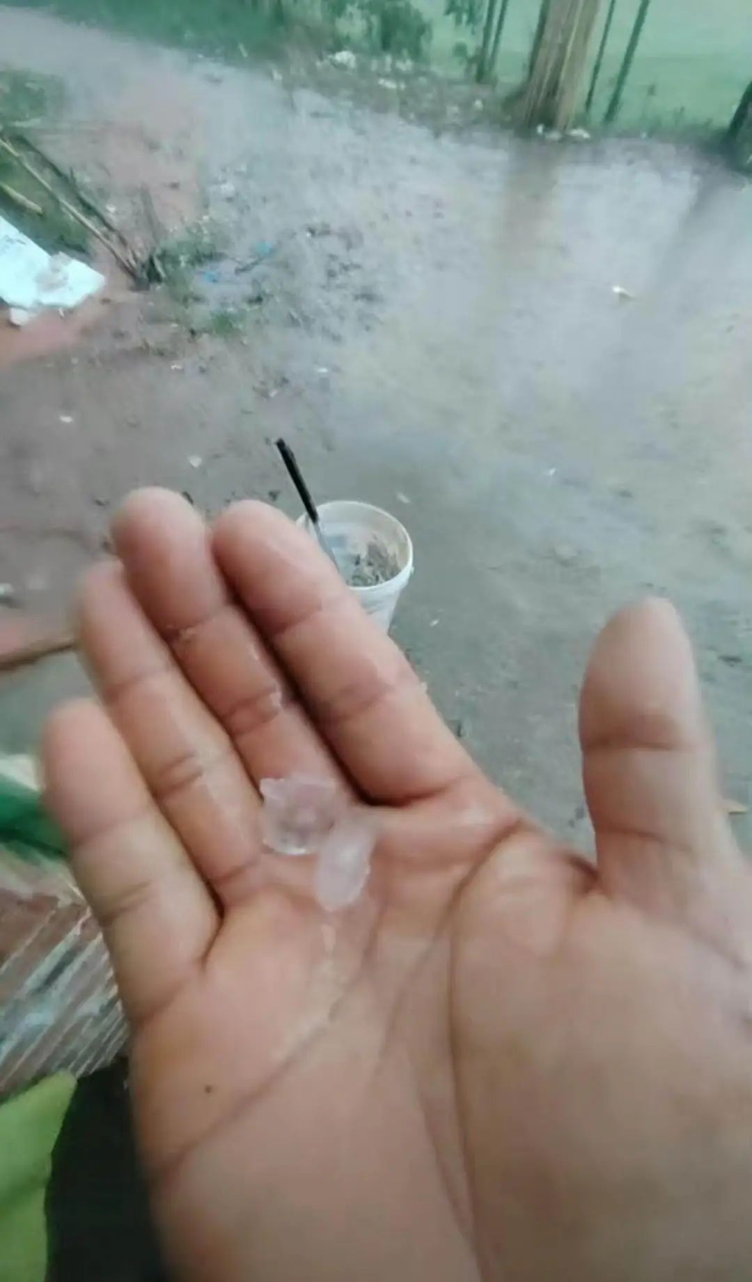 又湿又热又闷！广东人最怕的天气来了……未来还有阿冷拜访