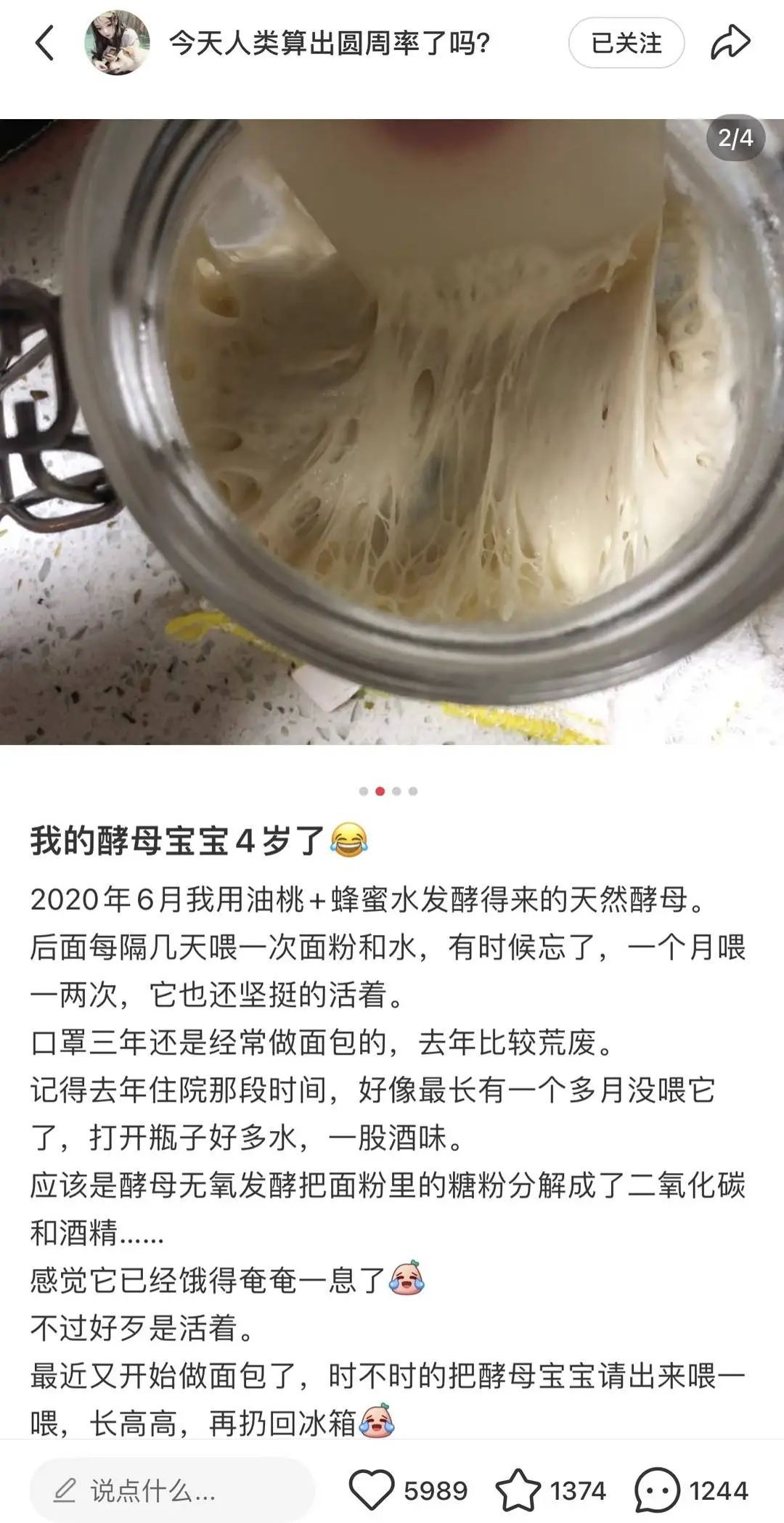 奇奇怪怪的宠物又增加了！这届年轻人的新宠，你可能听都没听过