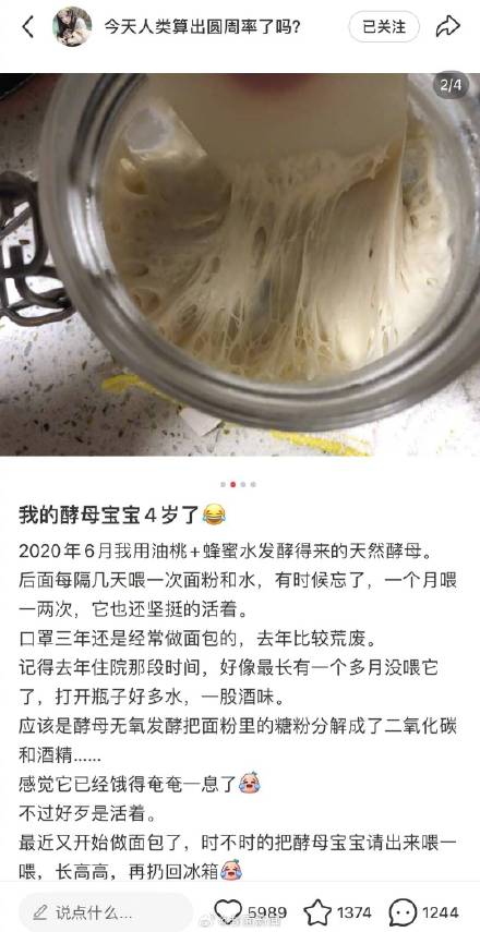 还是太超前了!年轻人开始养宠物酵母 还是太超前了!年轻人开始养宠物酵母