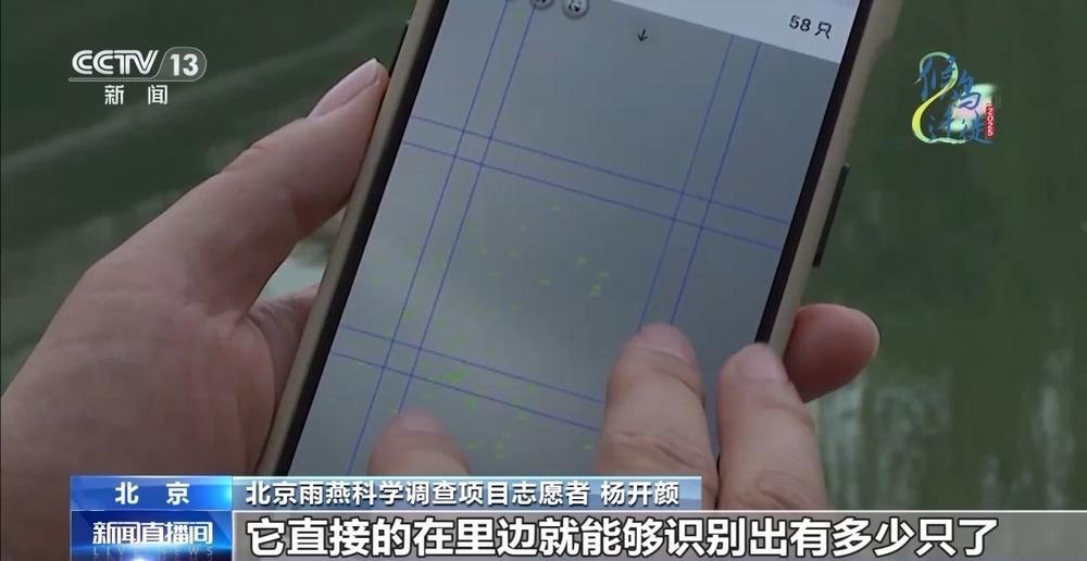 想知道北京雨燕的“安家指南”和“育儿宝典”吗?速来围观 想知道北京雨燕的“安家指南”和“育儿宝典”吗?速来围观