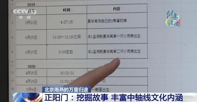 想知道北京雨燕的“安家指南”和“育儿宝典”吗?速来围观 想知道北京雨燕的“安家指南”和“育儿宝典”吗?速来围观