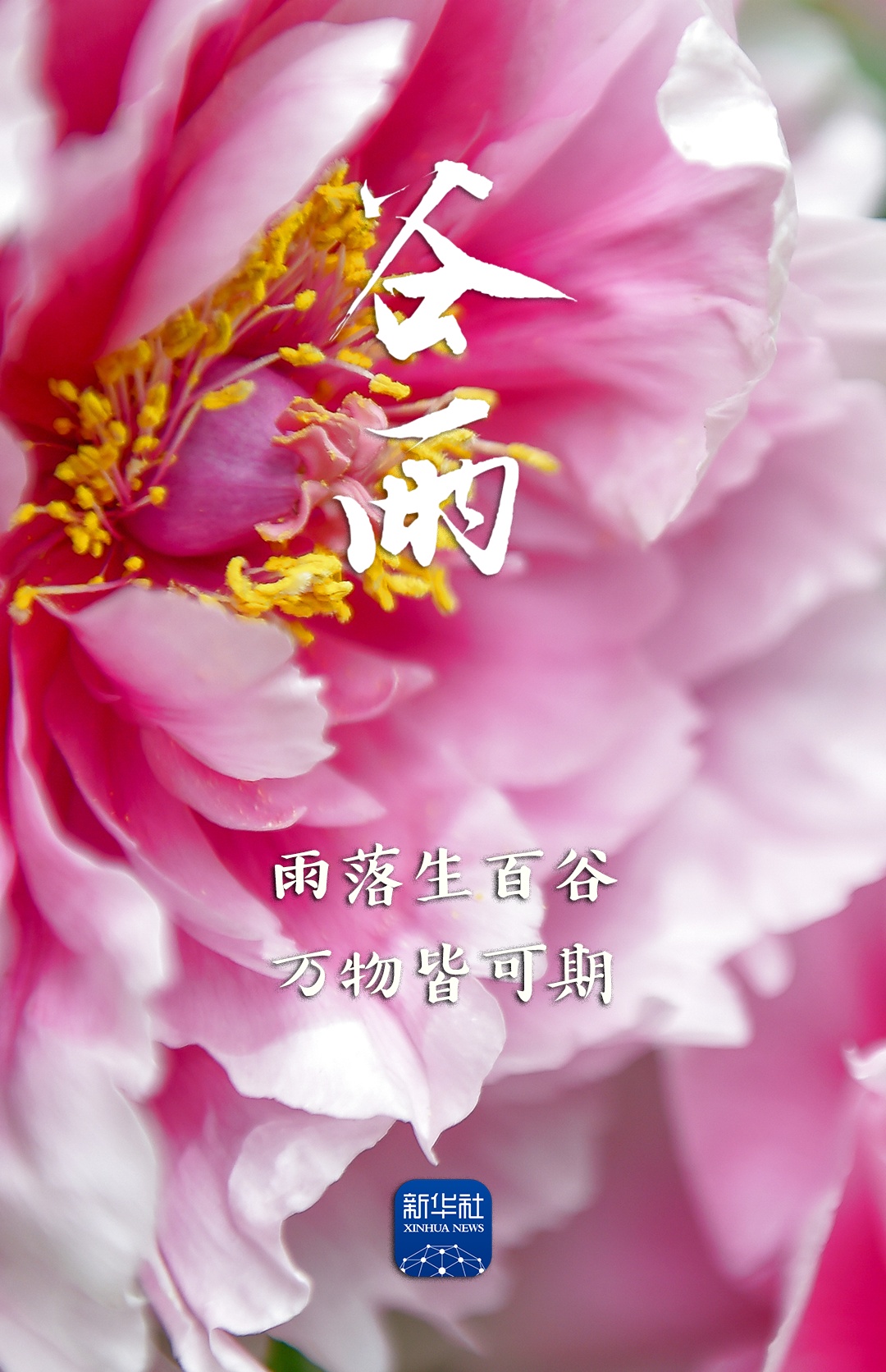 今日谷雨，祝你幸福绵长！