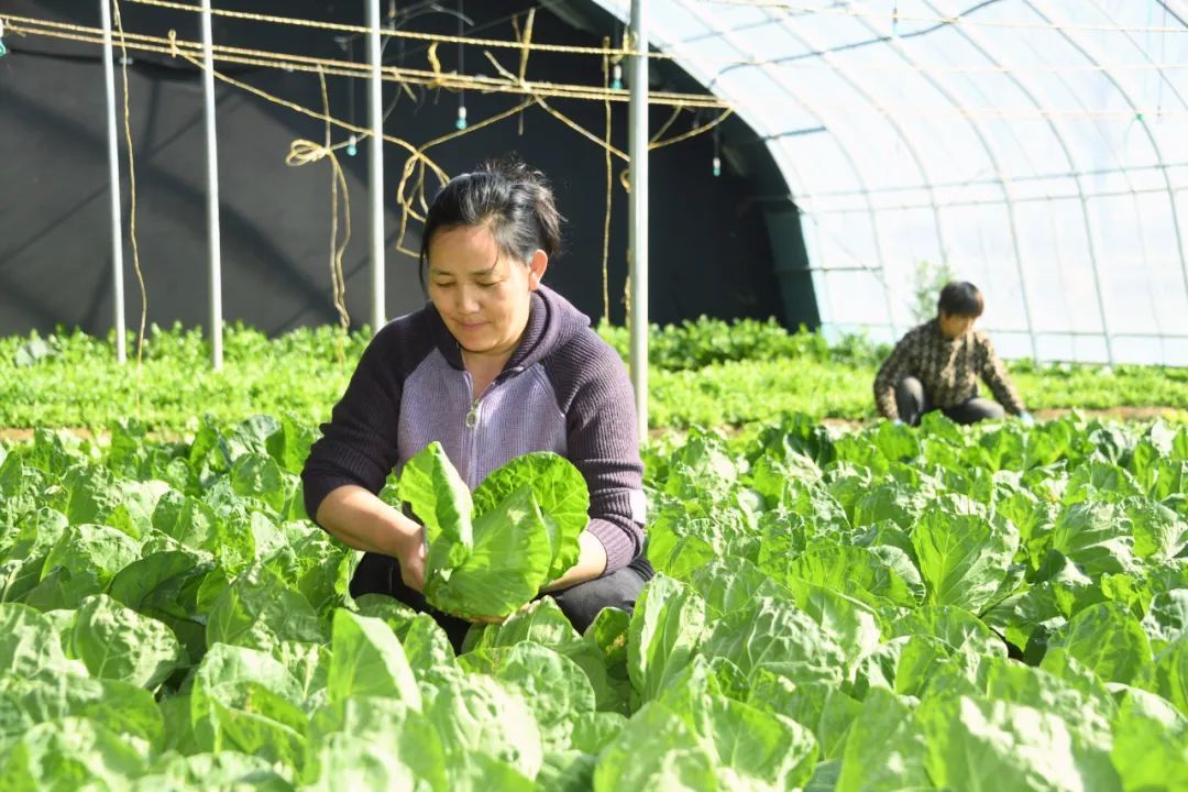 新发布食品安全标准,怎样影响你我生活? 新发布食品安全标准,怎样影响你我生活?