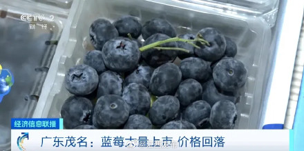 价格“腰斩”!这一水果大量上市了 价格“腰斩”!这一水果大量上市了
