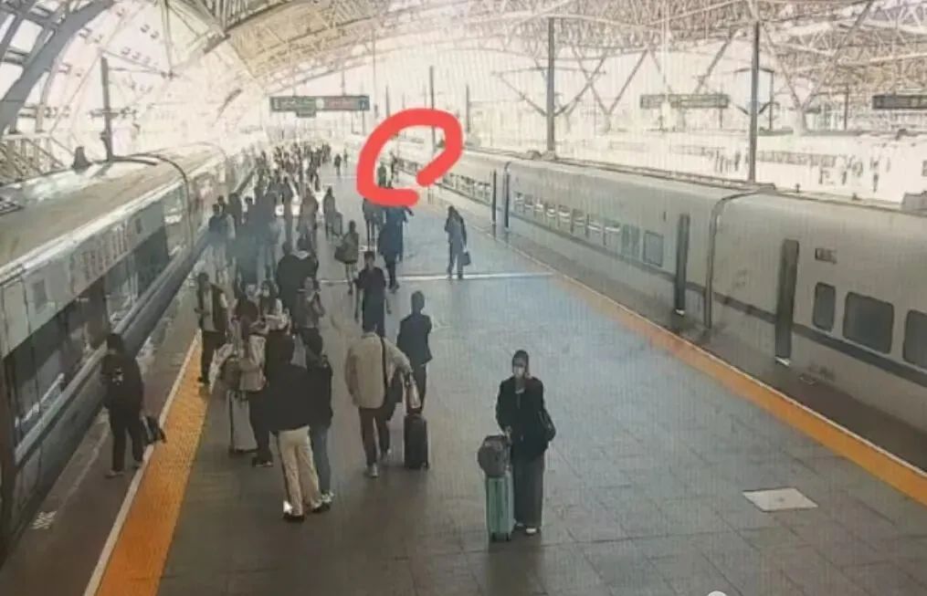 女子伸腿阻拦高铁关门被行拘 文明乘车这些事要注意