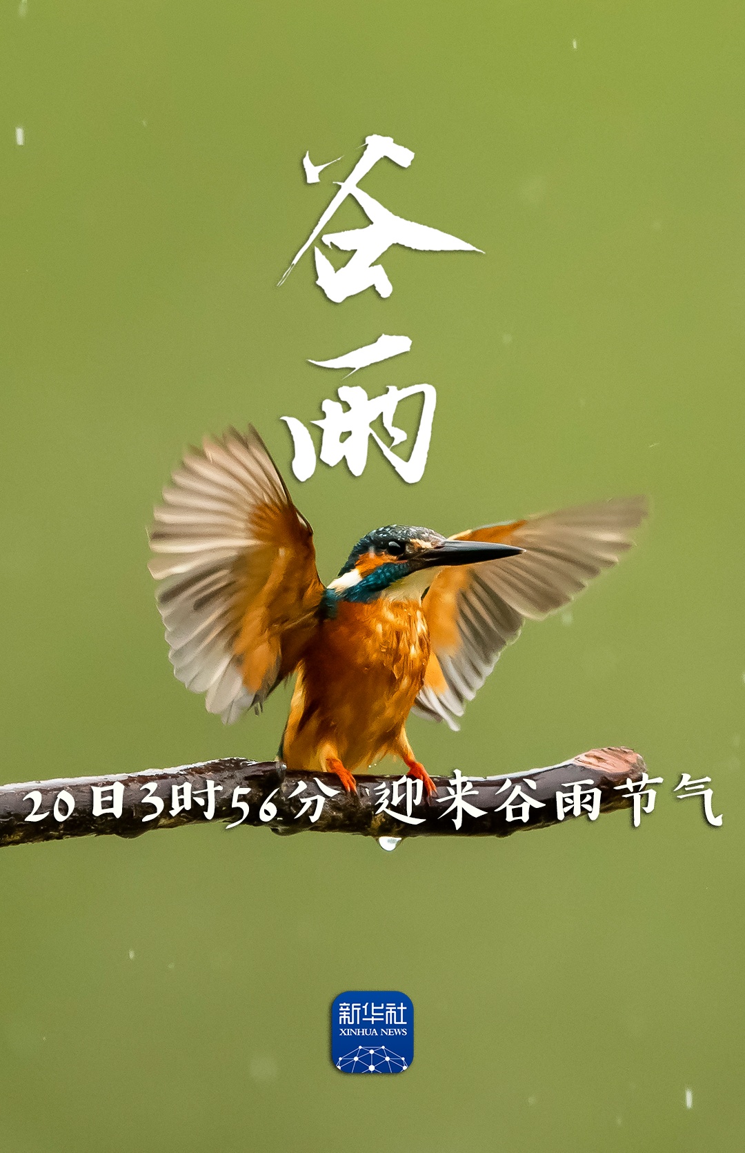今日谷雨，祝你幸福绵长！
