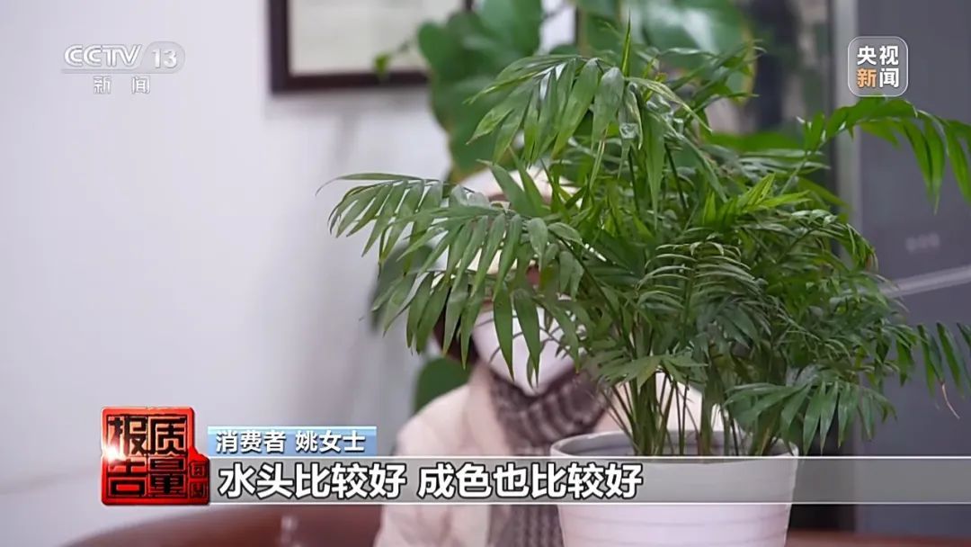 5888元捡漏“翡翠手镯”？其实是20元的石英岩染色……