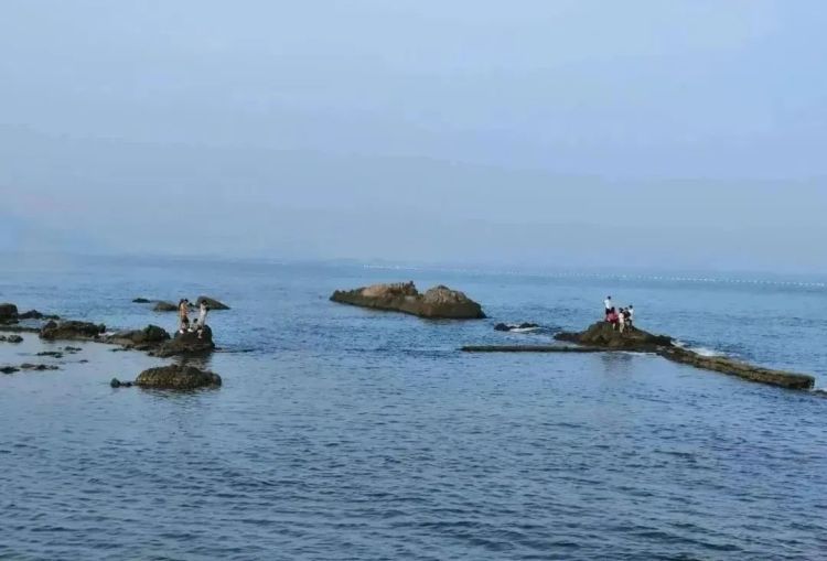 被卷入海，1死1失踪……海边看到它立即远离！