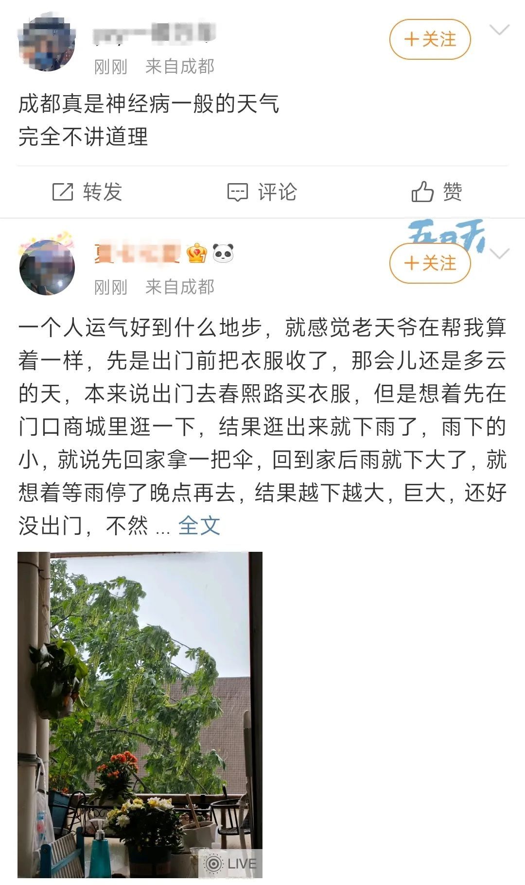 前1秒大太阳！后1秒大暴雨！成都“神经病天气”上线，接下来还有……