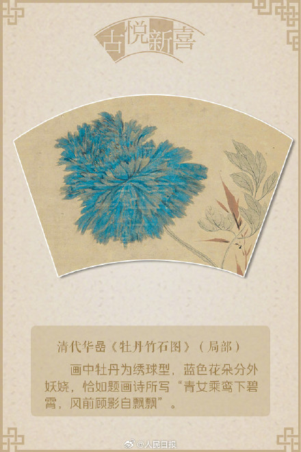 国色天香!文化中国行赏画中牡丹 国色天香!文化中国行赏画中牡丹