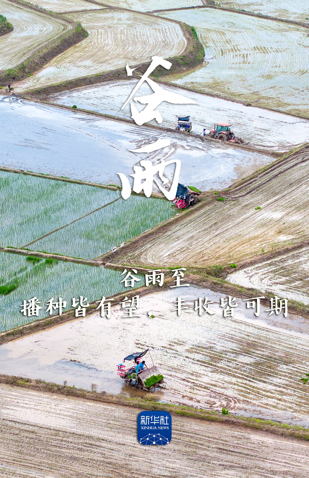 今日谷雨，祝你幸福绵长！