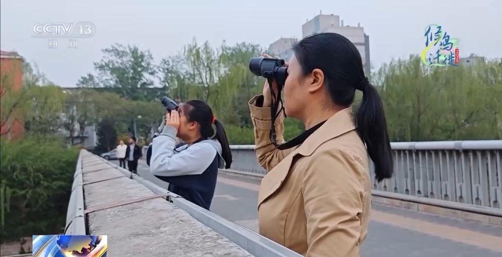 想知道北京雨燕的“安家指南”和“育儿宝典”吗?速来围观 想知道北京雨燕的“安家指南”和“育儿宝典”吗?速来围观