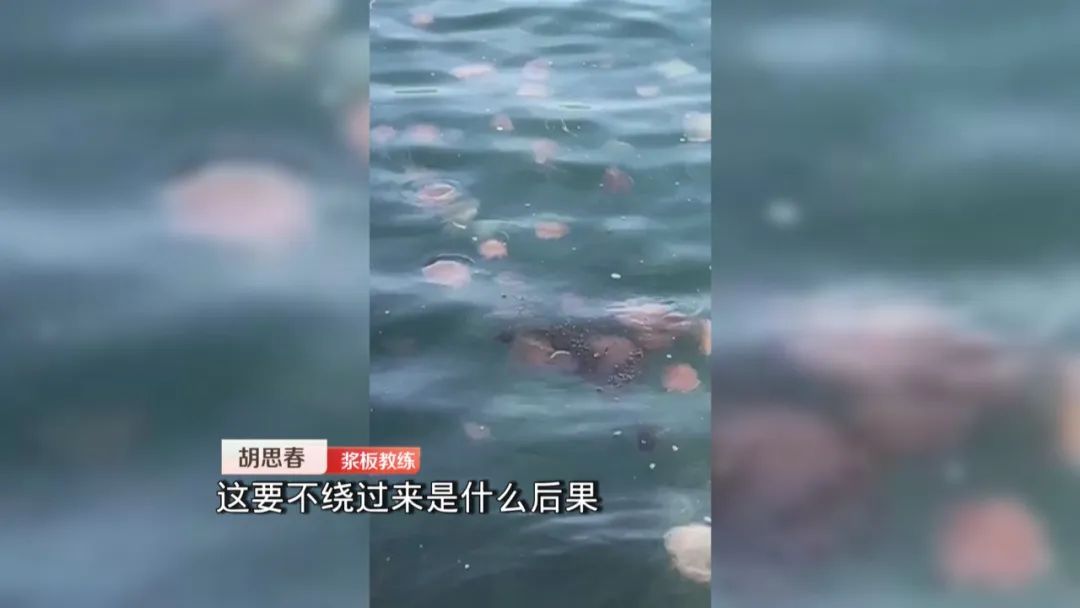 有毒！立即远离！多地已出现：“像塑料袋又像气球”