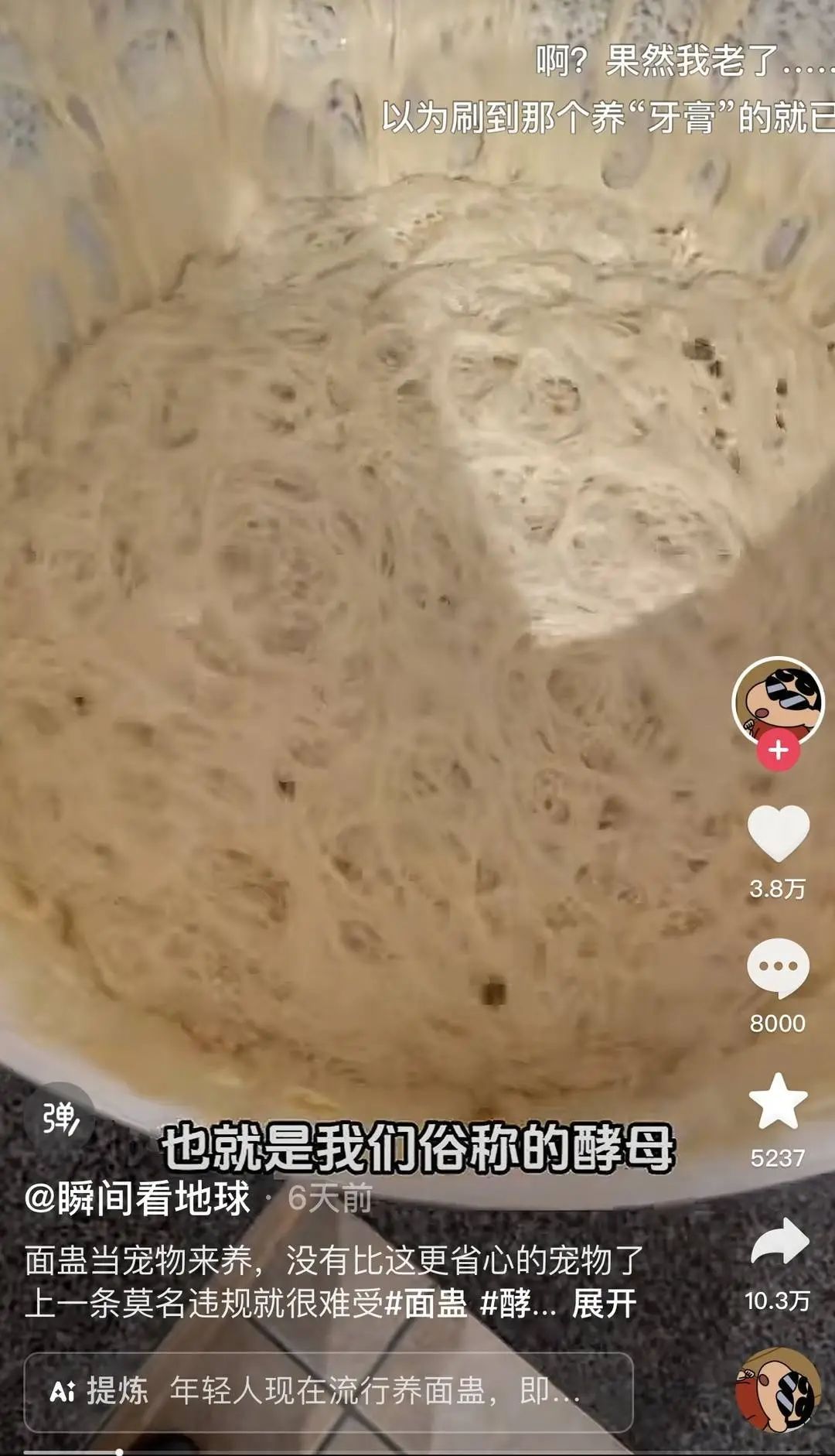 奇奇怪怪的宠物又增加了！这届年轻人的新宠，你可能听都没听过
