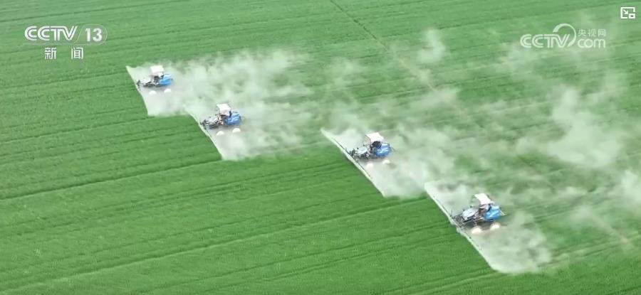粮食生产开局良好：春播春管进展顺利 冬小麦将迎来大面积收获