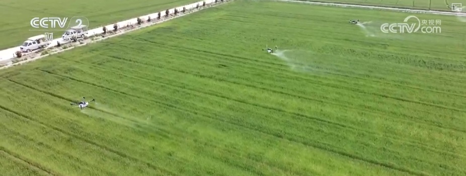 量身精准研发、“遥感巡田+AI”……现代科技为春管提供新“生产力”