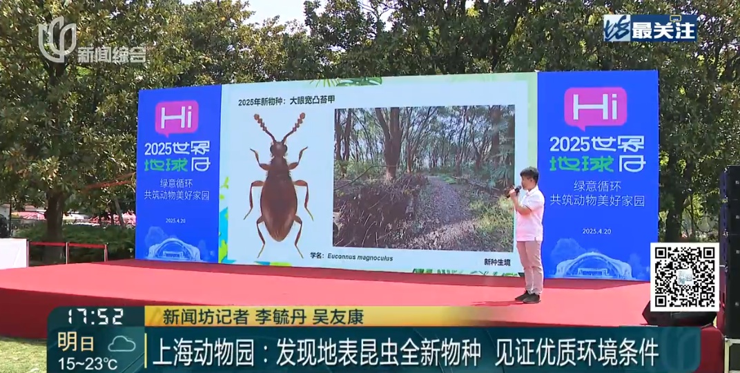 上海发现新物种！体长不到2毫米，就藏在……长什么样？如何被发现的？
