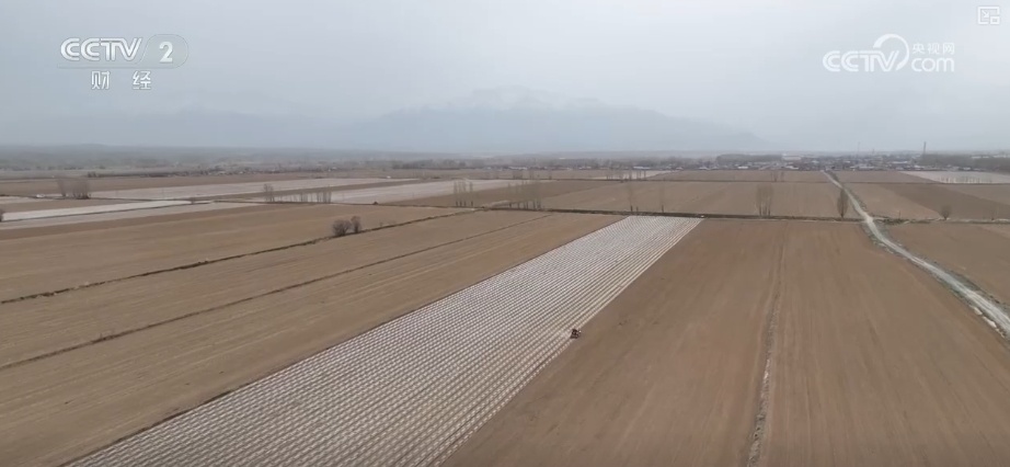 量身精准研发、“遥感巡田+AI”……现代科技为春管提供新“生产力”