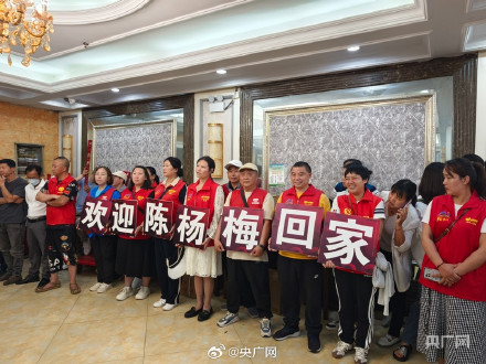 棉花糖爸爸的小杨梅终于回家了