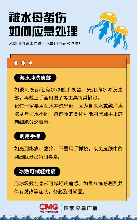 不要碰！不要碰！海边游玩警惕水母伤人