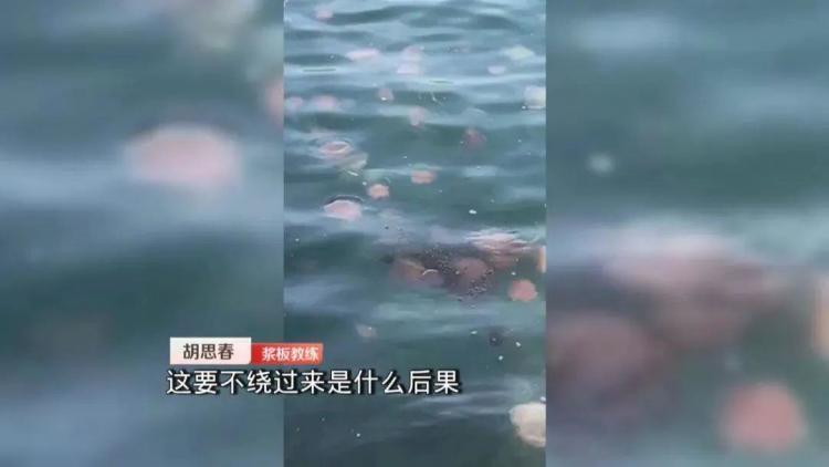 不要触碰！这些海里的“不速之客”有毒 严重可致命