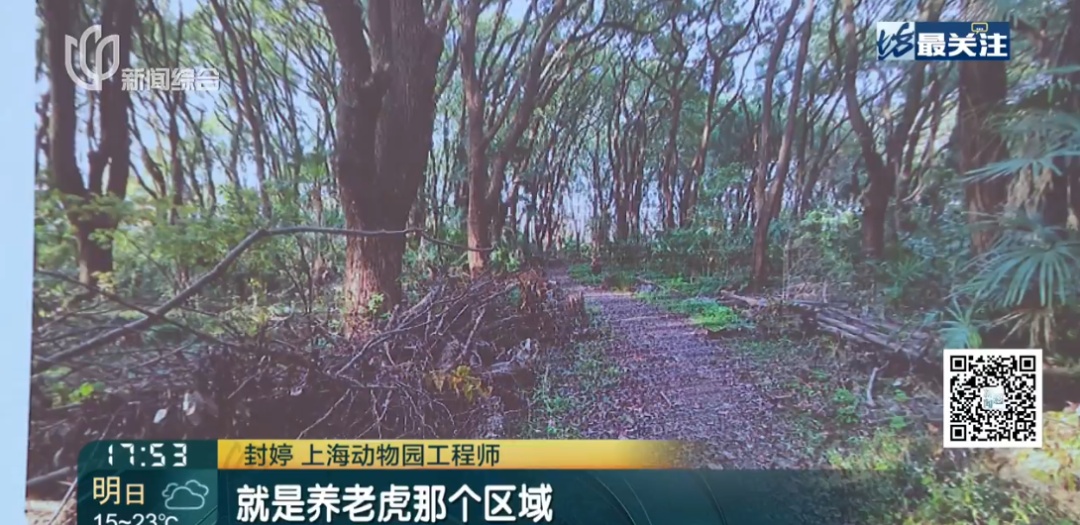 上海发现新物种！体长不到2毫米，就藏在……长什么样？如何被发现的？