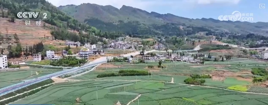 量身精准研发、“遥感巡田+AI”……现代科技为春管提供新“生产力”