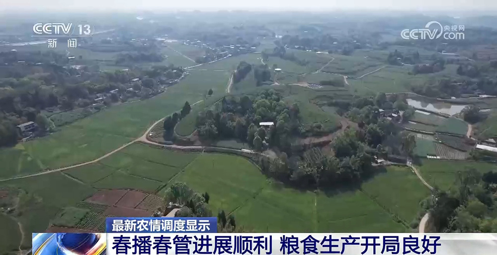 春播春管进展顺利 粮食生产开局良好