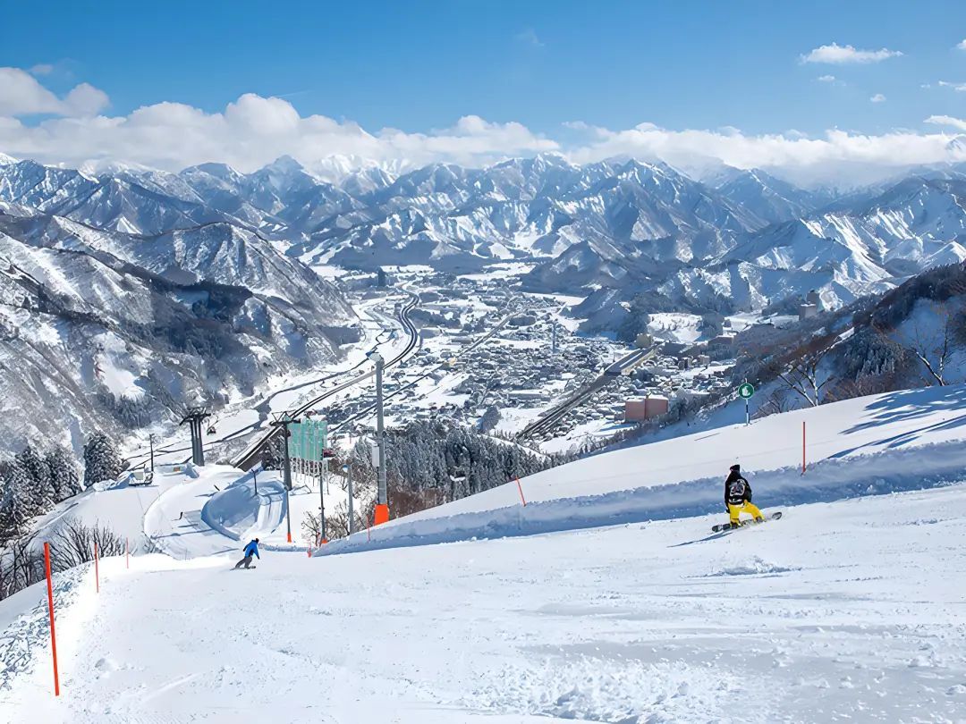 中国男子在日本滑雪失踪1晚，树洞找到遗体，任职香港一公司董事