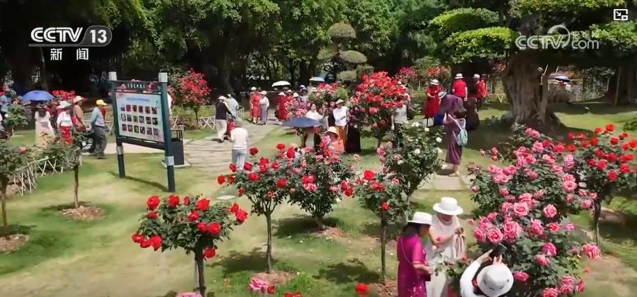 “五一”旅游市场升温:长线游预订大幅增长 旅游列车助力出行 “五一”旅游市场升温:长线游预订大幅增长 旅游列车助力出行