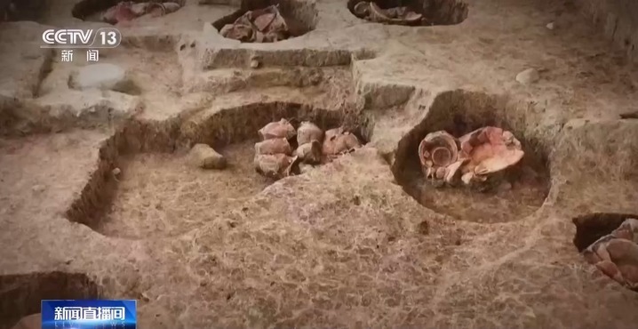 东亚古人类“食谱”有哪些？稻作文明起源密码是啥？答案来了